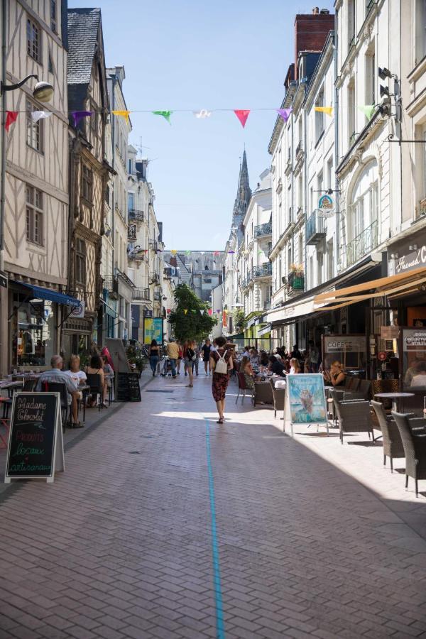 Hyper Centre - Rue St Laud, 2min Ralliement *